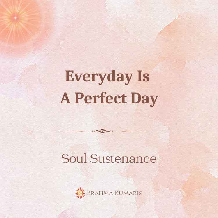 Everyday is a perfect day