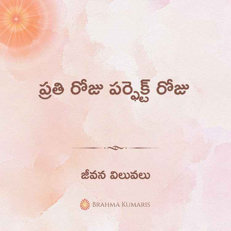 ప్రతి రోజు పర్ఫెక్ట్ రోజు