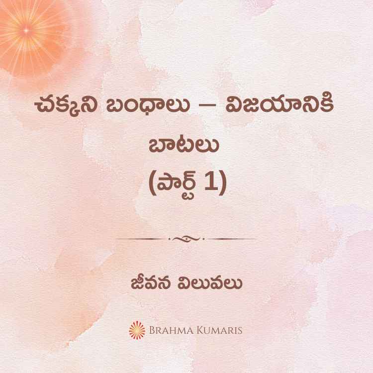 చక్కని బంధాలు – విజయానికి బాటలు (పార్ట్ 1)