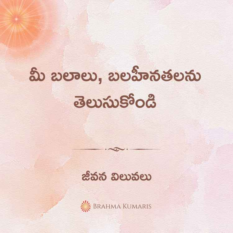 మీ బలాలు, బలహీనతలను తెలుసుకోండి