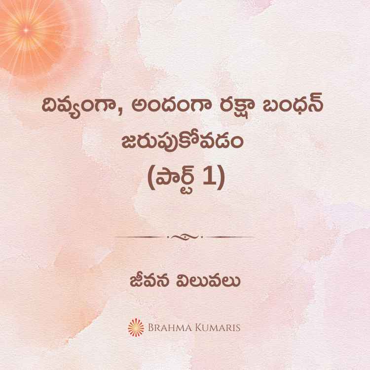 దివ్యంగా, అందంగా రక్షా బంధన్ జరుపుకోవడం (పార్ట్ 1)