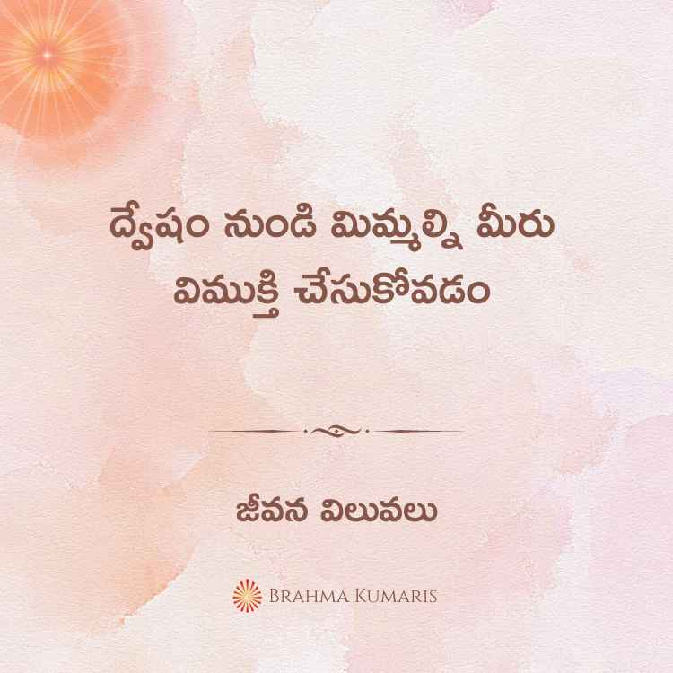 ద్వేషం నుండి మిమ్మల్ని మీరు విముక్తి చేసుకోవడం