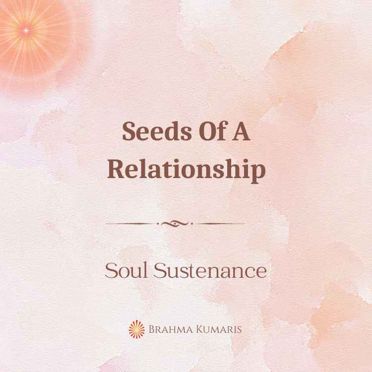 Seeds Of A Relationship