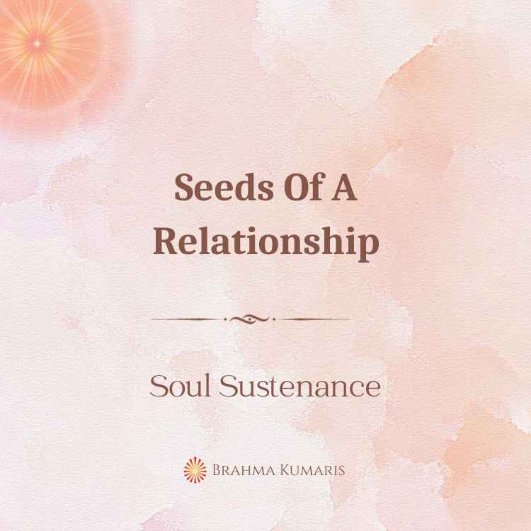 Seeds of a relationship