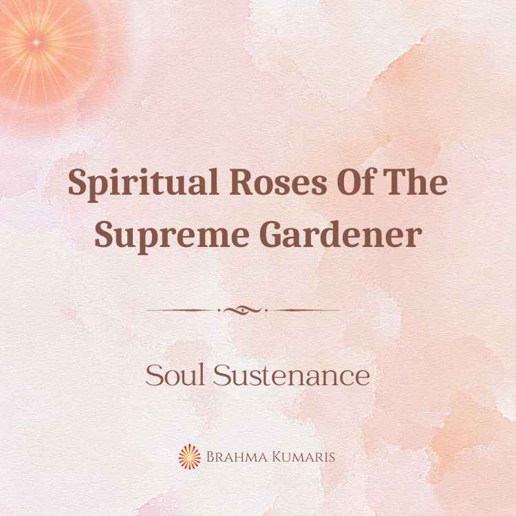 Spiritual Roses Of The Supreme Gardener