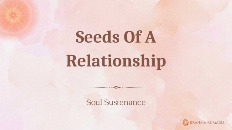 Seeds of a relationship