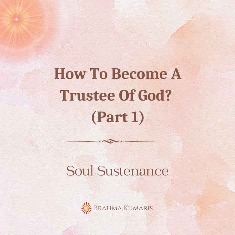 Shanti Sarovar 2 How To Become A Trustee Of God (Part 1)?