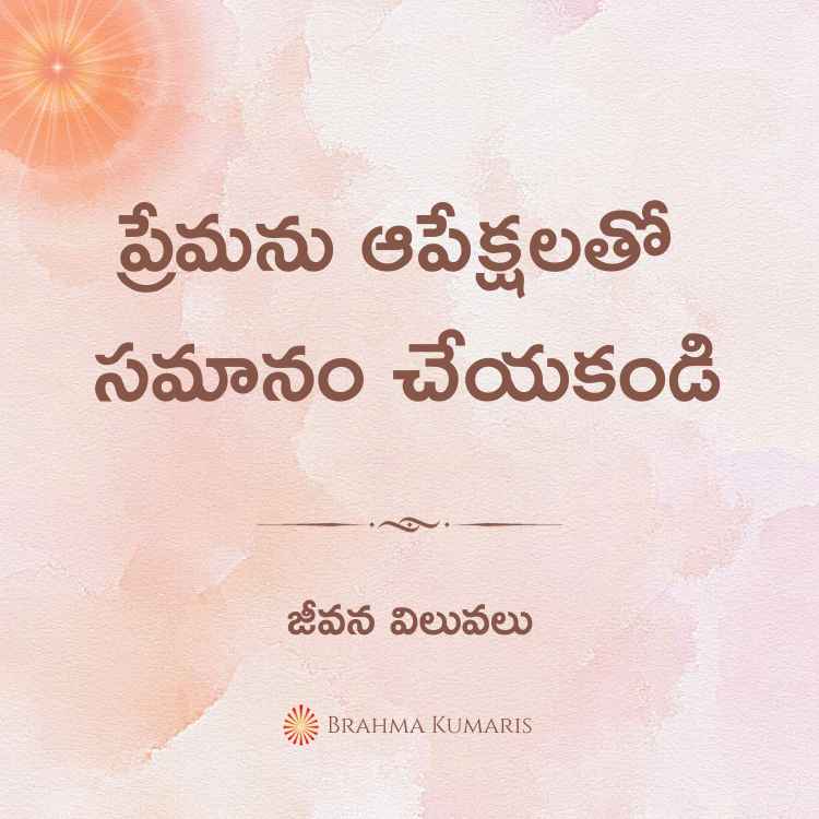 13th Nov 2023 Soul Sustenance Telugu » Brahma Kumaris | Official