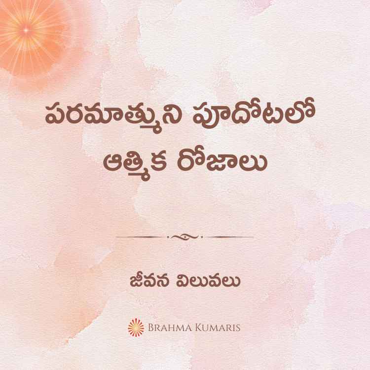 14th Nov 2023 Soul Sustenance Telugu » Brahma Kumaris | Official