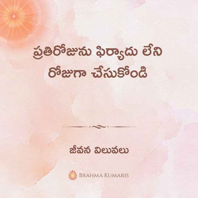 23rd nov 2023 soul sustenance telugu