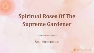6th june 2025-soul-sustenance-English