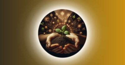 World Soil Day Significance And Importance