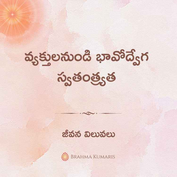 15th dec 2023 soul sustenance telugu (1)