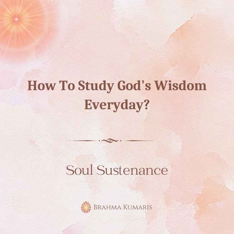 How to study god's wisdom everyday?