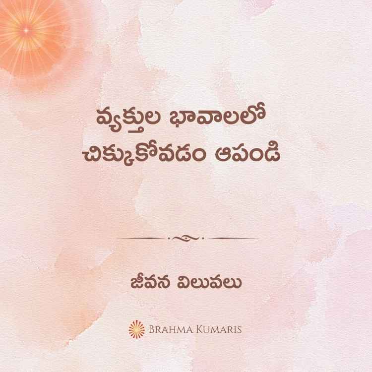 8th jan 2024 soul sustenance telugu