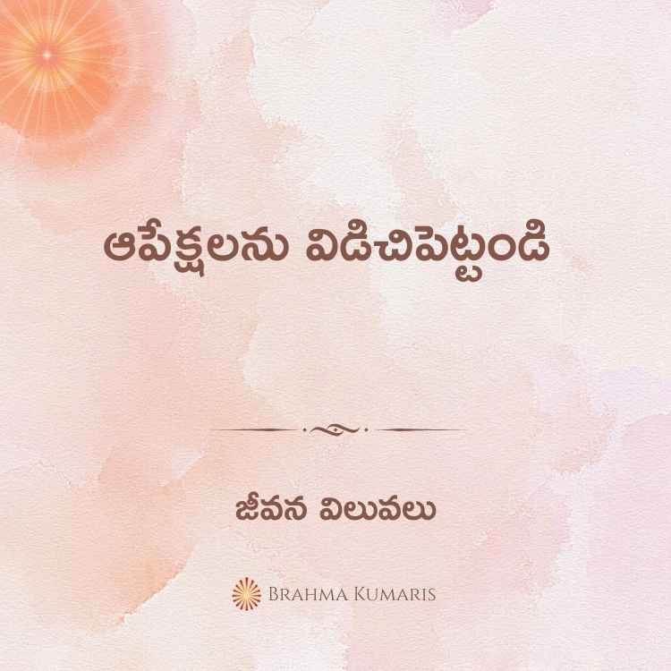 18th feb 2024 soul sustenance telugu