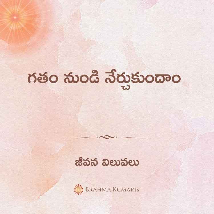19th feb 2024 soul sustenance telugu