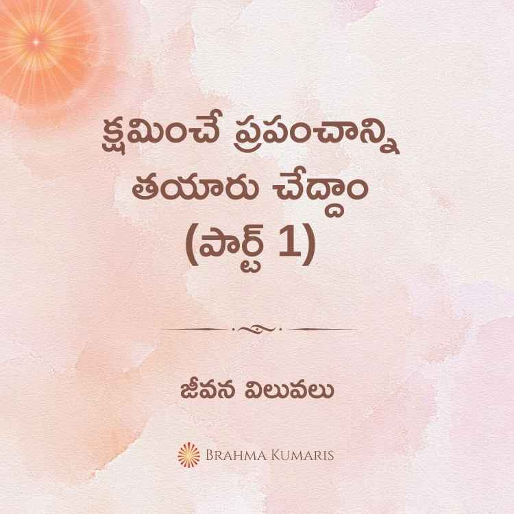 20th feb 2024 soul sustenance telugu