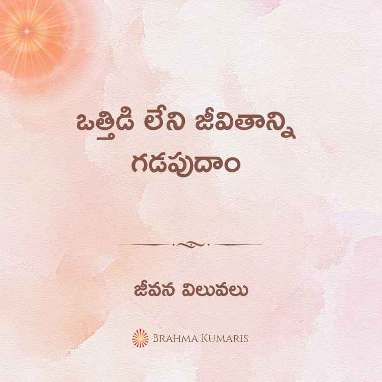 13th mar 2024 soul sustenance telugu