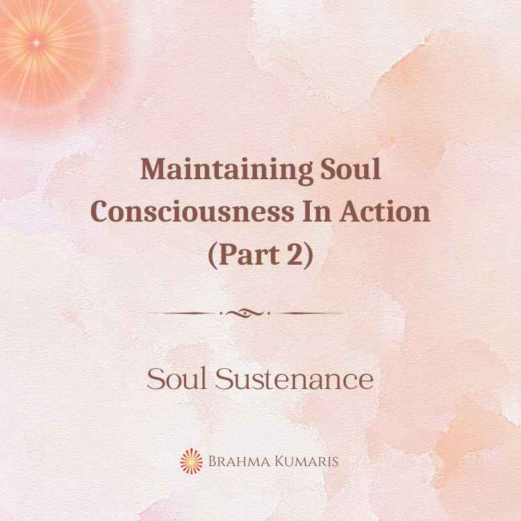 Maintaining soul consciousness in action (part 2)