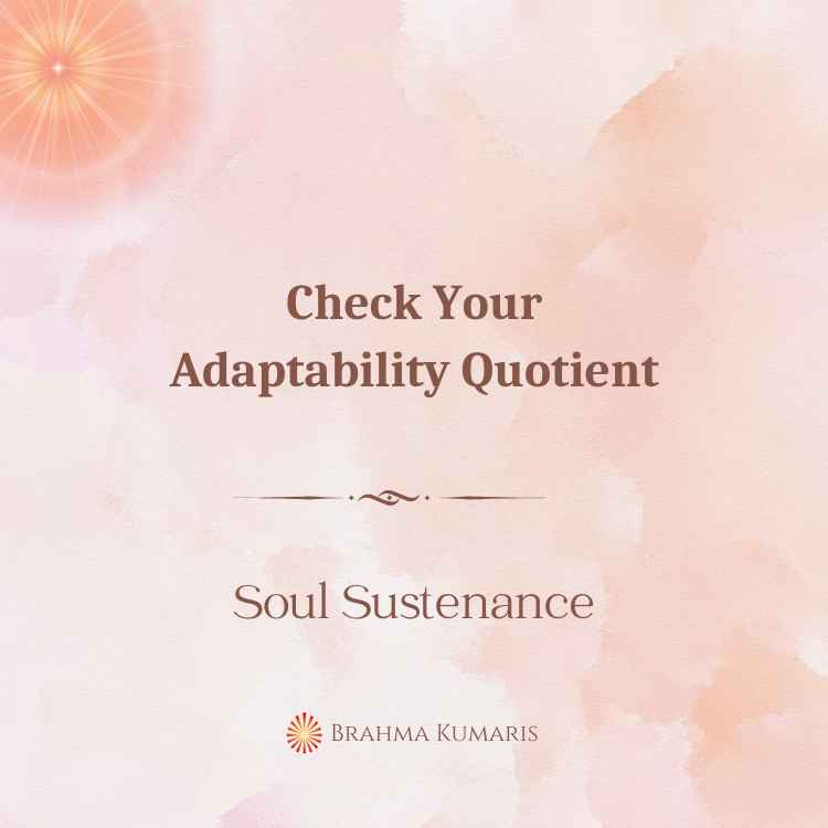 Check your adaptability quotient