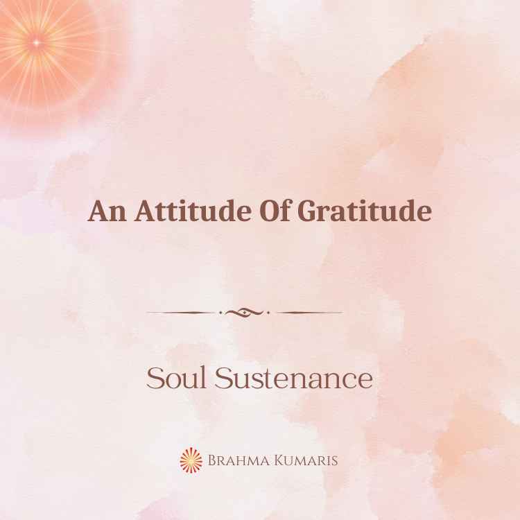 An attitude of gratitude