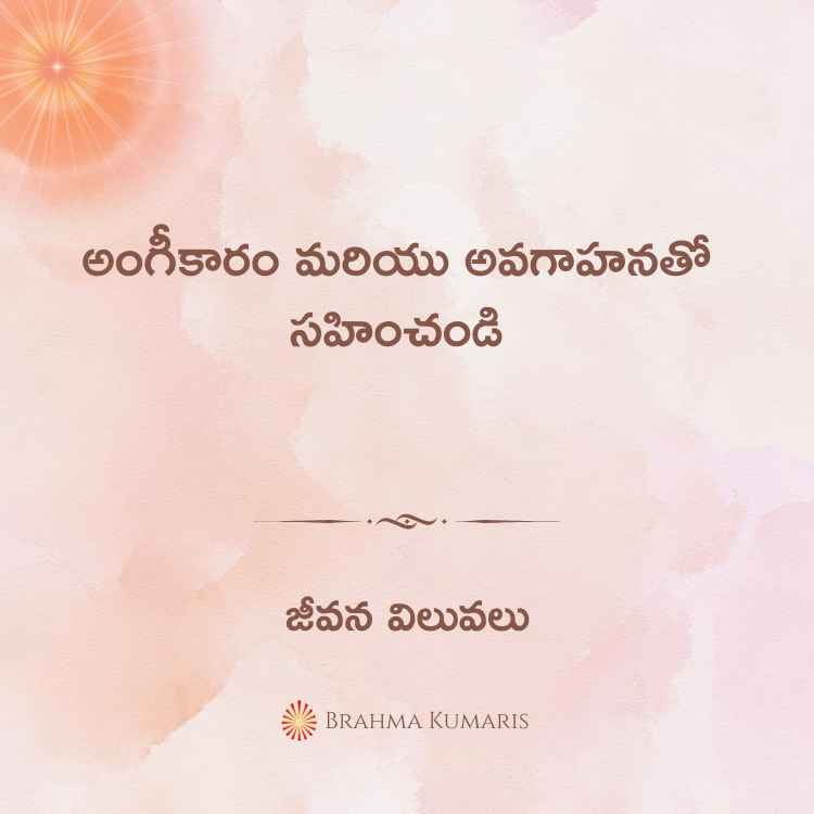 16th May 2024 Soul Sustenance Telugu