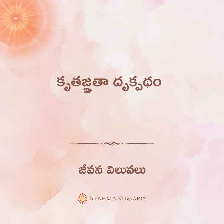 7th may 2024 soul sustenance telugu