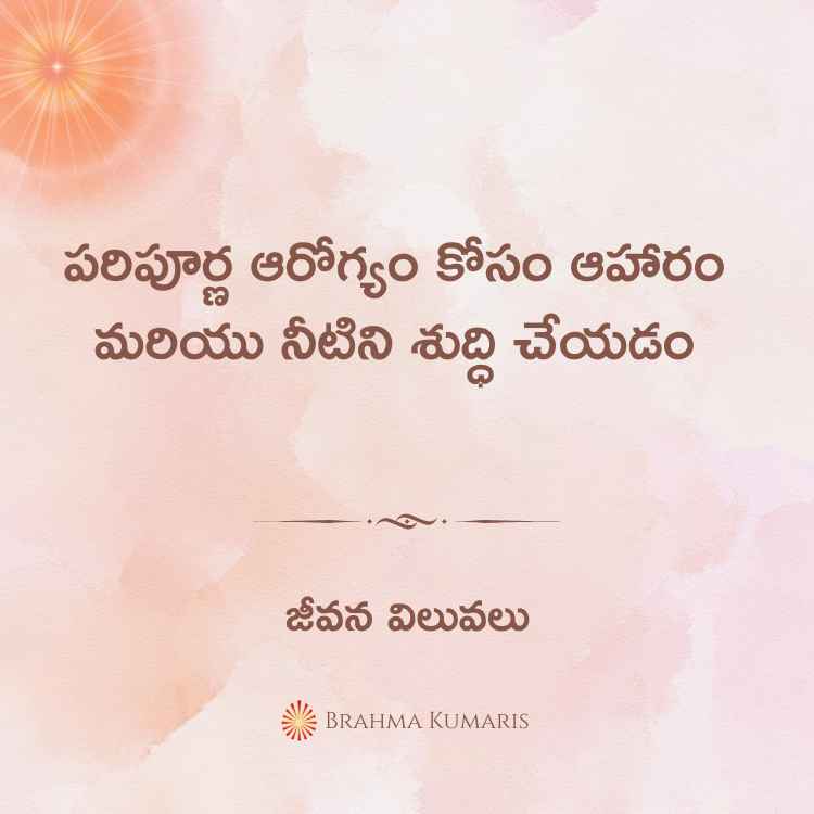 29th july 2024 soul sustenance telugu