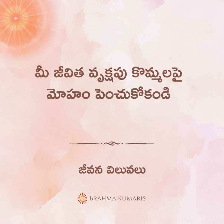6th July 2024 Soul Sustenance Telugu