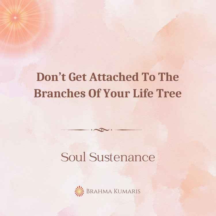 Don’t get attached to the branches of your life tree