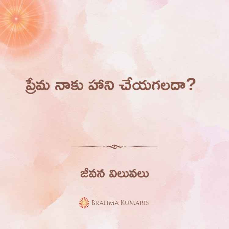 12th august 2024 soul sustenance telugu