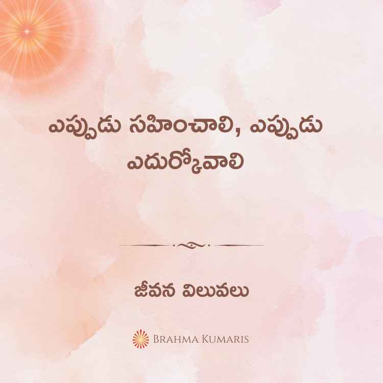 16th august 2024 soul sustenance telugu