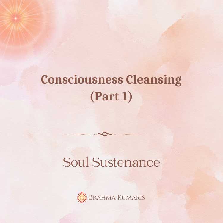 Consciousness cleansing (part 1)