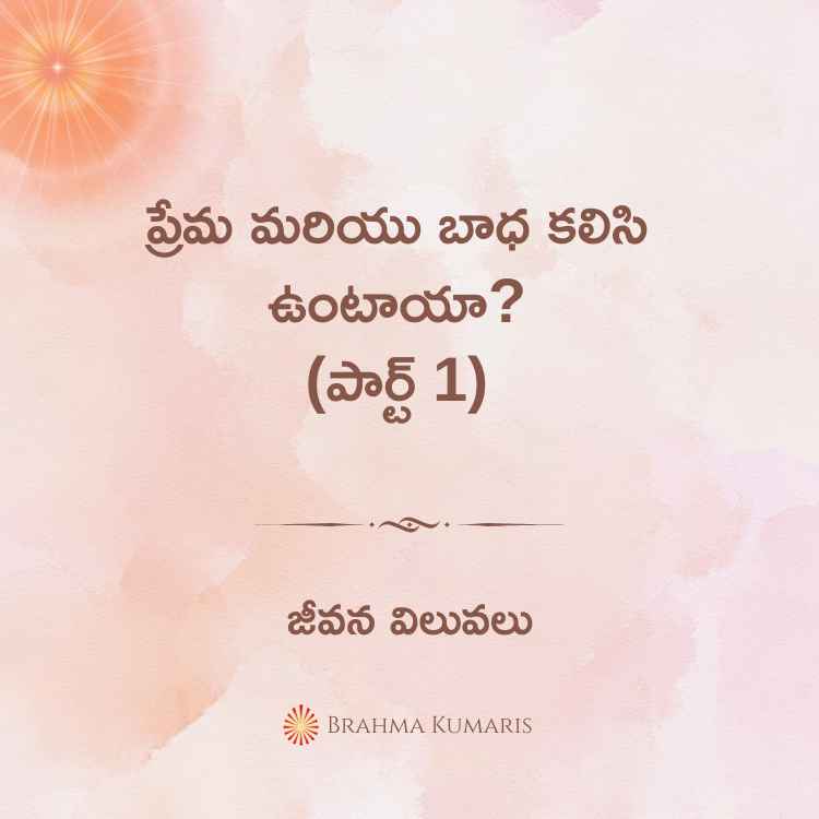 30th august 2024 soul sustenance telugu
