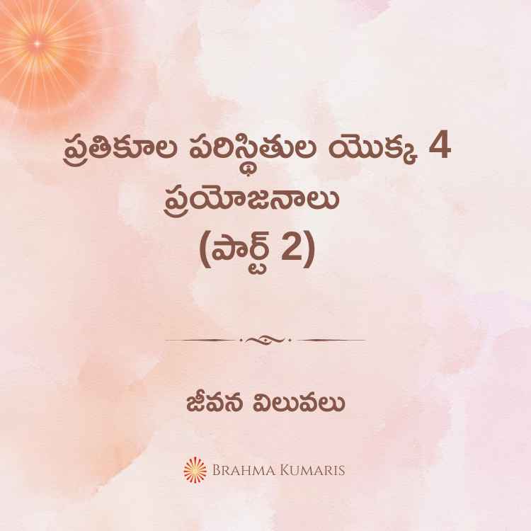 4th august 2024 soul sustenance telugu