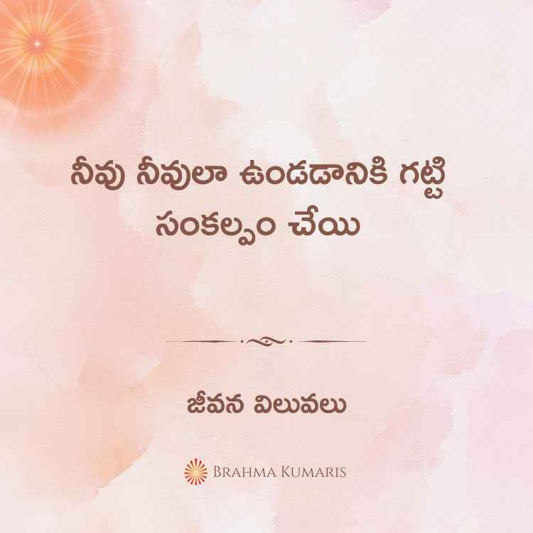 6th august 2024 soul sustenance telugu