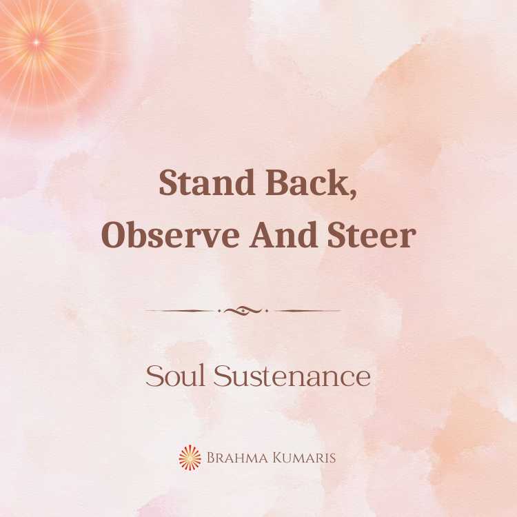 Stand back, observe and steer