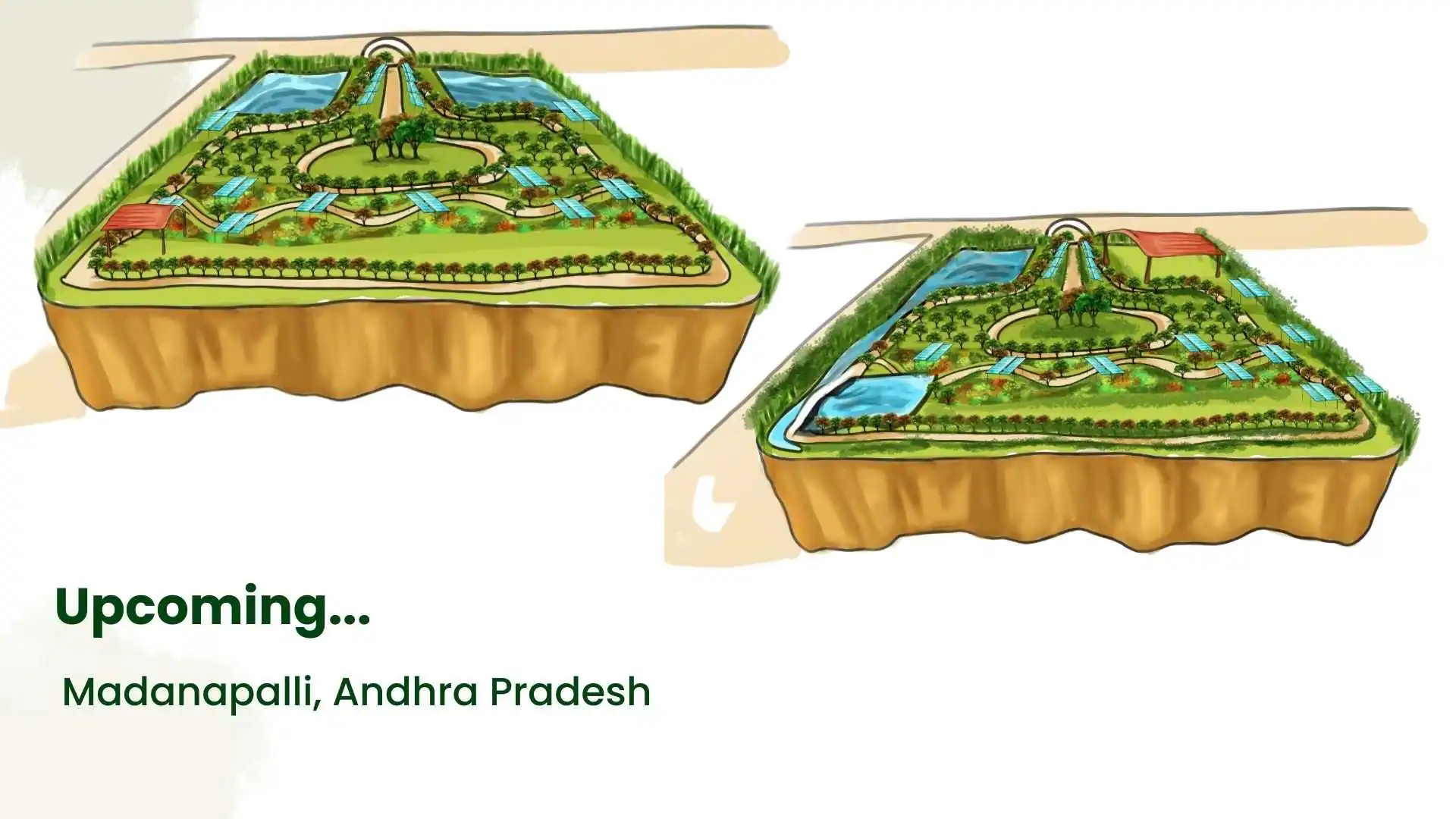 16 arogyavan