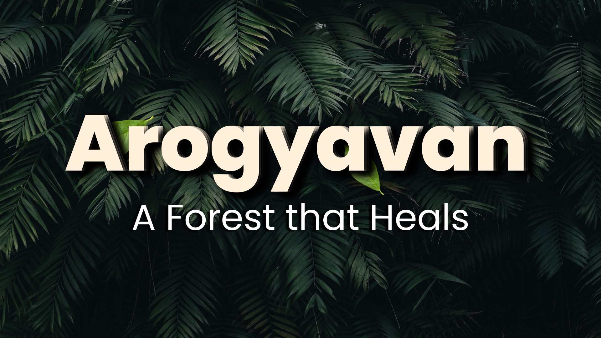 Kalptaruh arogyavan brahma kumaris