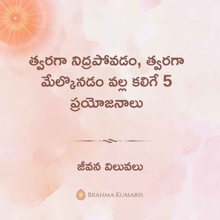 3rd november 2024 soul sustenance telugu