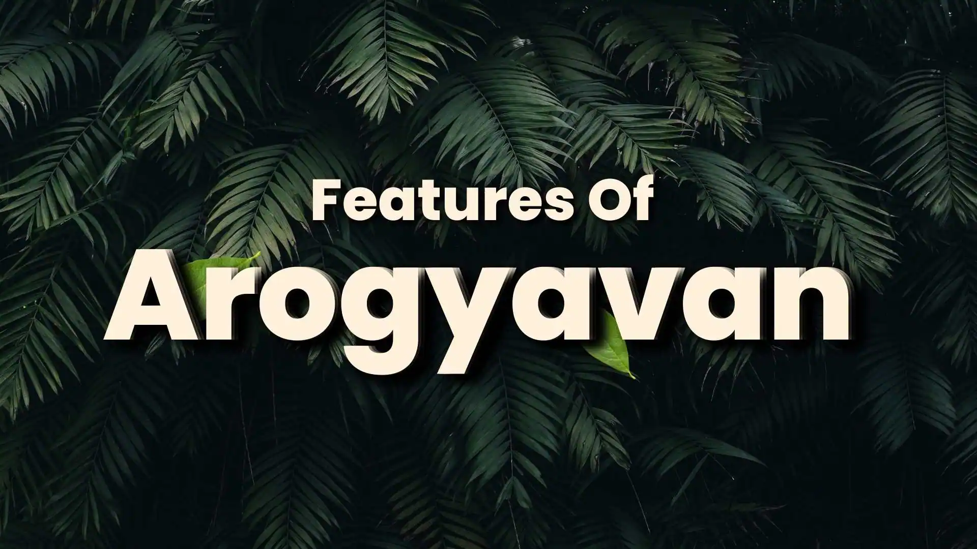 4 arogyavan