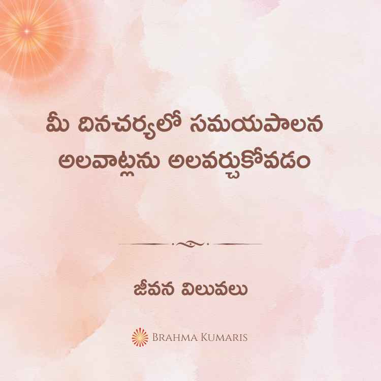 మీ దినచర్యలో సమయపాలన అలవాట్లను అలవర్చుకోవడం