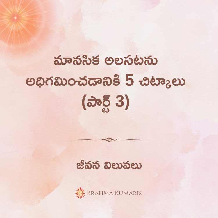 11th November 2024 Soul Sustenance Telugu