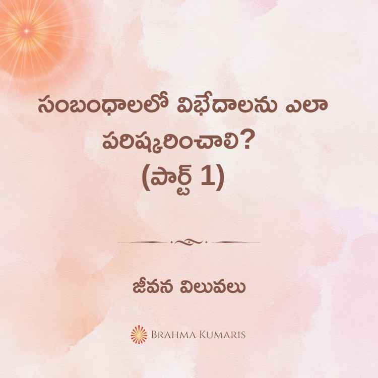 14th november 2024 soul sustenance telugu