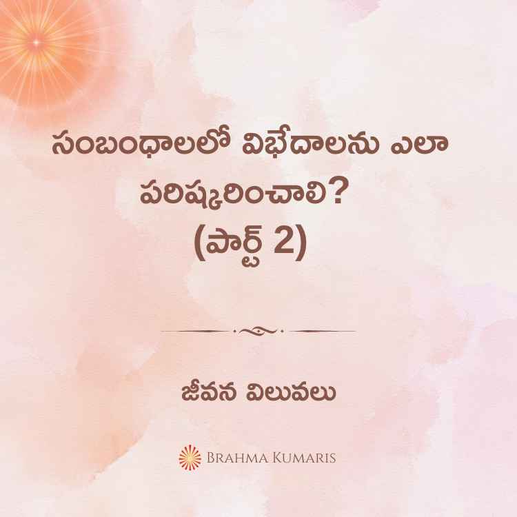 15th november 2024 soul sustenance telugu