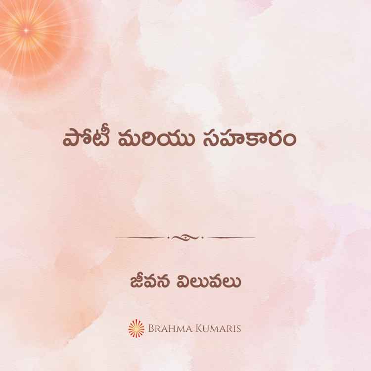 16th november 2024 soul sustenance telugu