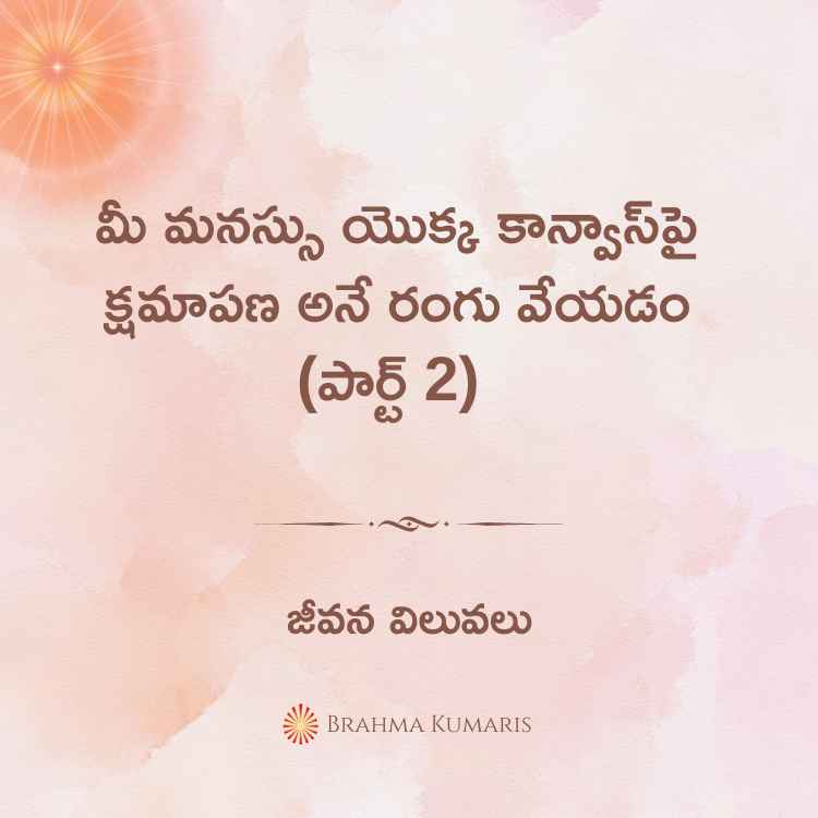 20th november 2024 soul sustenance telugu