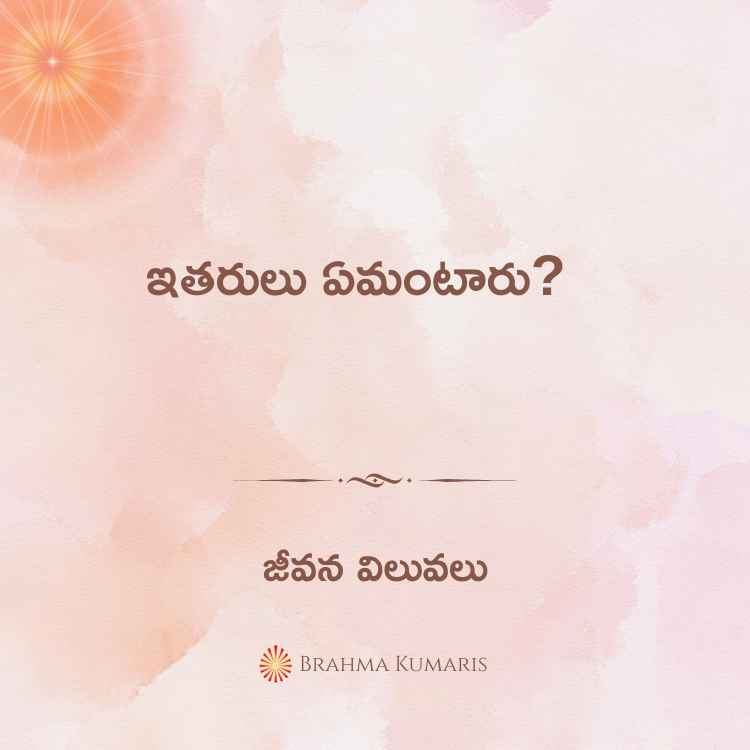 22nd november 2024 soul sustenance telugu
