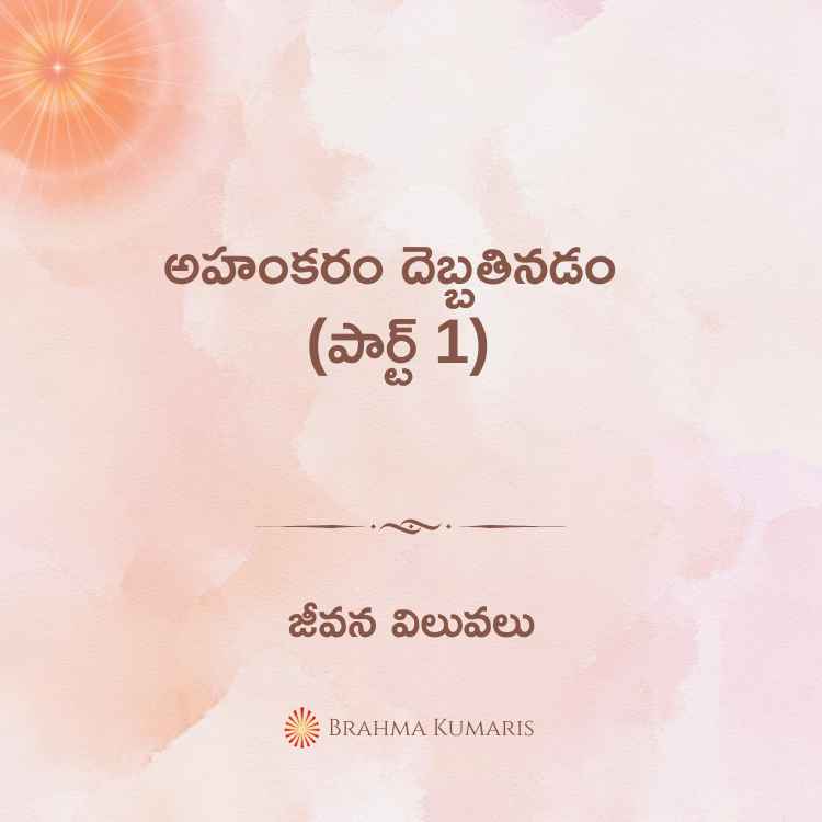 26th november 2024 soul sustenance telugu